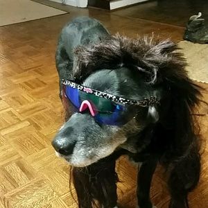 Meet your Posher, Juan